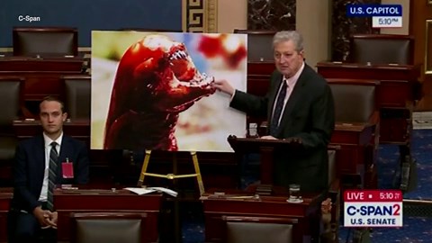 Senator uses alien from Alien to warn about the dangers of radioactive shrimp