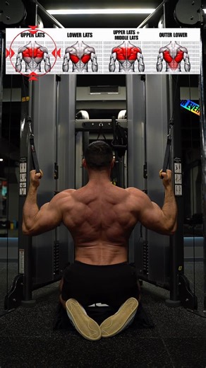 Eddie | Fitness Coach & Trainer on Instagram: "BACK WORKOUT - WIDTH & DETAIL 1. Seated Dual Cable Row (from knees, handles) • локти строго в сторону • акцент на широчайшие и круглые • без читинга, полный контроль 2. Kneeling One-Arm Lat Pulldown • локоть строго в сторону • максимальная связь мозг–мышца • отличная добивка ширины 3. Chest-Supported Rope Seated Row (low back focus) • локти вдоль тела • акцент на низ широчайших и толщину 4. Chest-Supported Rope Seated Row (upper-mid back focus) • ло