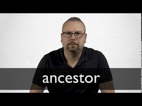 How to pronounce ANCESTOR in British English
