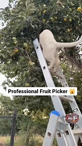 17K views · 53 reactions | Bro pays the bills! | Mr.B | Facebook