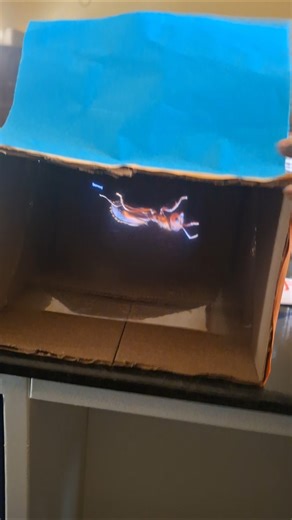 Hologram projector Science Exhibition #KPS February Kyalanur 2026