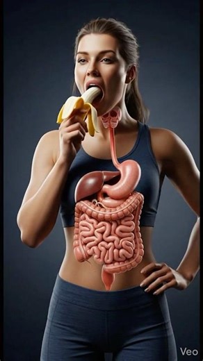 How Your Body Breaks Down a Banana Step by Step 🍌 | 3D Human Anatomy #anatomyshorts #bodyscience