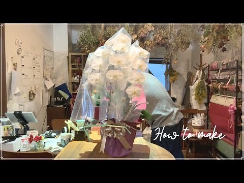 【5分で】白い胡蝶蘭のラッピング方法