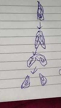 class 10 how do organisms reproduce different mode of asexual reproduction