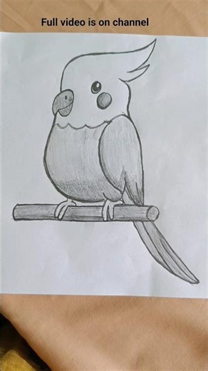 How to draw a parrot 🦜