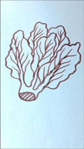 lettuce 🥬 drawing easy technique #lettuce #drawing #art #technique #simple