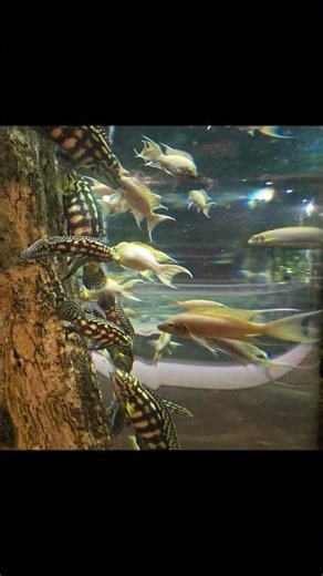 What a great day at The Greater Cleveland Aquarium