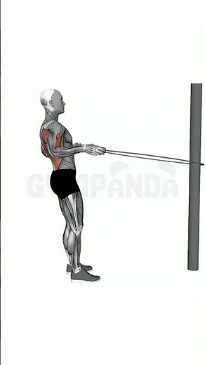 Standing Resistance Band Row - Perfect Form Guide #shorts