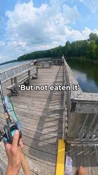 He said these fish were impossible to catch