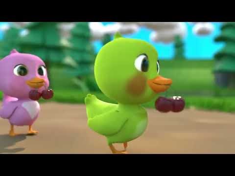 Duck and ducklings funny videos