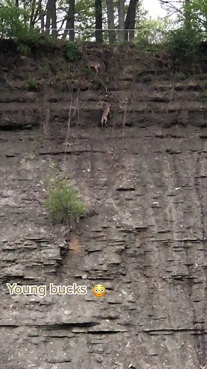 Athena (@athena.44.45)’s videos with A 3-minute song that is ideal for the BGM of cooking videos(1031572) - mi-ya