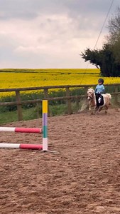 432K views · 22K reactions | Ivy was jumping Mouse who is 28 inches & then 17hh Ace all on the same day when she was just 6. It’s incredible to look back on & see the difference in the two . #horse #equestrian #showjumping #horseriding #horselover #horselove #horsegirl #horserider #stallion | Jumping with Ivy | Facebook