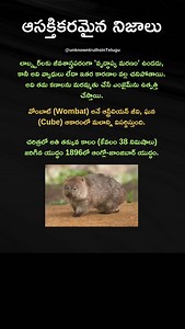 #20 interesting facts in telugu | Unknown Truths In Telugu