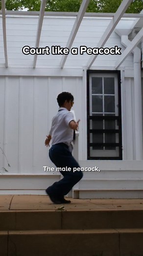 44 reactions · 4 comments | Nature has so much to teach us | Keith Laue | Facebook