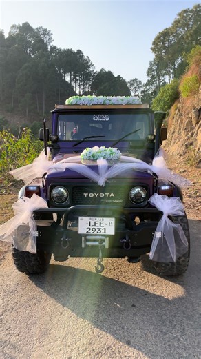 #fj40 #purplebeastkashmir