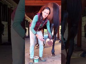 How to Pack a Horse's Foot / Hoof without Wrapping it - Horsemanship 101 - Tall Tale Equestrian