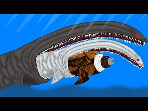 Fish Eat Fish Size Comparison // Ending With Bloop Diet - Animation