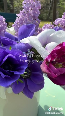 A fresh flower arrangement from the garden to start the week. Featured here are Anemones, Lilac, Tulips, Muscari & Thrift. #flowers #gardening #flowergarden #cutflowers