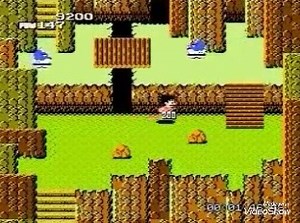 NES DRAGON BALL Sheng Long no Nazo sin caja import Japan...