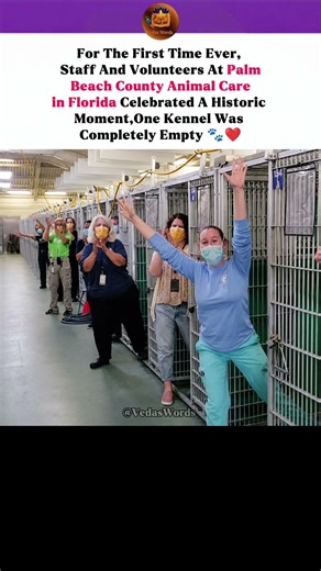 Historic Moment! Florida Animal Shelter Celebrates First EMPTY Kennel 🐾❤️ #usa #florida #doglover