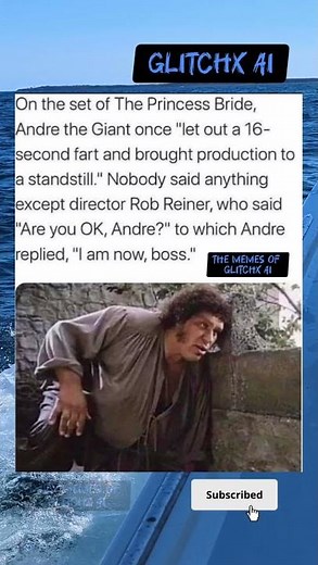 The Princess Bride #shortvideo #daliymemes #trending #shorts #memes #viralvideo #fyp #meme #funny