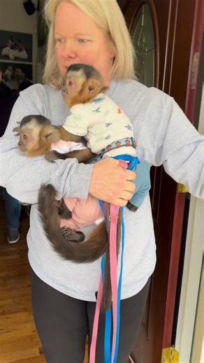 Baby chicks!! Oliver wasn’t too happy until I told him that he’ll get some eggs! #babychicks #reveal | Three Little Rascals