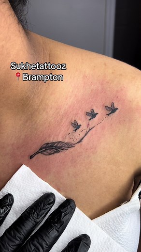 Feather and Flying Birds Tattoo Designs for Women