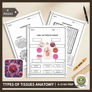 Types of Tissues Labeling & Identification | Histology Anatomy Unit (No Prep)