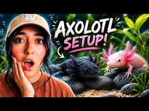 I Built the Perfect Axolotl Setup (Beginner Friendly)