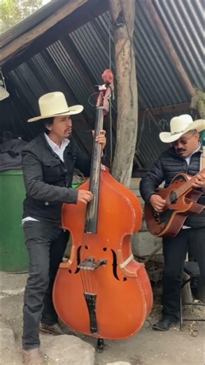 botas y cintos pitiados #musicacampirana