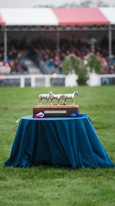 Who will get this beautiful trophy next month…? 🤔🐎🏆 Superb trophy sculpted by @judyboyt, mounted on a plinth by @stevensonrockinghorses made out of oak tree from the Badminton park 🌳👌 #badmintonhorsetrials #eventing | MXIMD Pictures