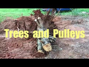Trees and Pulleys - DIY Ideas and Solutions