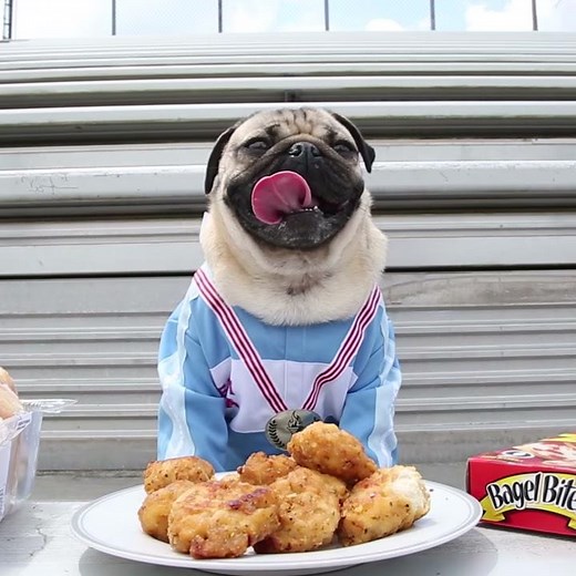 Doug The Pug - Olympics