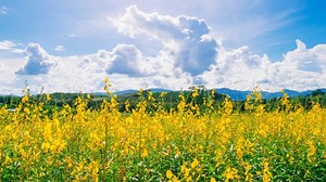 Happy Birthday Wishes for Someone With Cancer