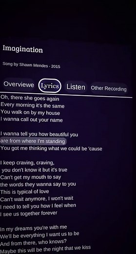 Imagination by Shawn Mendes: Explore the Lyrics and Meaning
