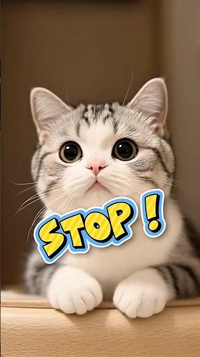 5 Fakta Kucing yang Jarang Orang Tahu! (Fakta 30 Detik)