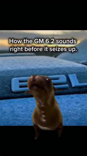 Evan Catron on Instagram: "Oh the poor 6.2🤣 #automotive #gm #recall #engineissues"