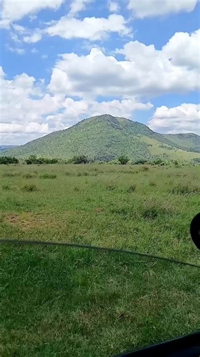 Explore the Wonders of Lion Safari Park Experience