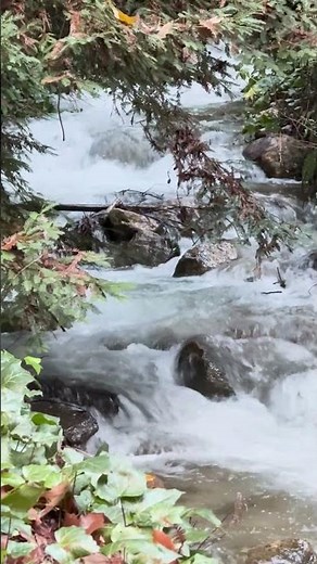Spring Begins :) Watching the Spring Run off here in the Rocky Mountains :) #timjanis
