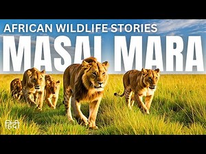 MASAI MARA: AFRICAN WILDLIFE STORIES | Nature documentary hindi Wildlife Documentary in hindi