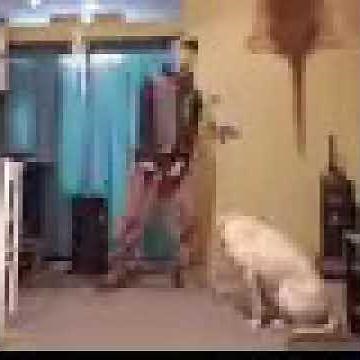 guy vibing to markiplier full outro song after being compressed for sms transfer