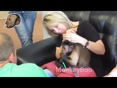 Monkey Meet and Greet