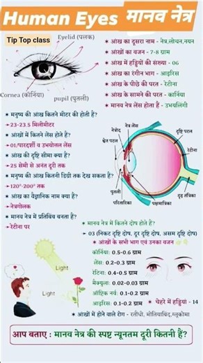 class 10 science chapter 10 | easy diagram of human eye | notes of human eye | #tiptopclass