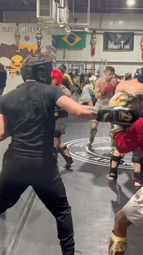 Check hook + Jab + cross #boxing #jab #boxingtraining