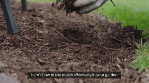 How To Use Mulch In Your Landscape Design