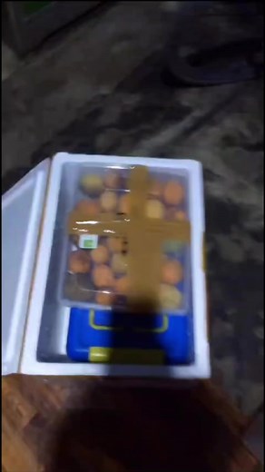 5.4K views · 41 reactions | Exotic Jungle Fruit From Borneo Going To Jakartah, Wanna Taste, dm me | durian traveler indonesia | Facebook