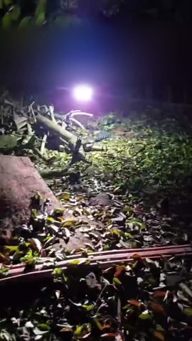 Flip Drone Multifunctional Night Flight Light for DJI Flip