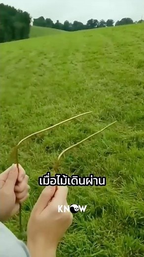 The belief in finding water sources using two sticks!