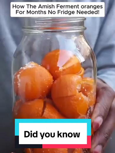 The Amish series. Did you know the Amish did this? Why are you still not following? #didyouknow #amishtiktok #foodietok
