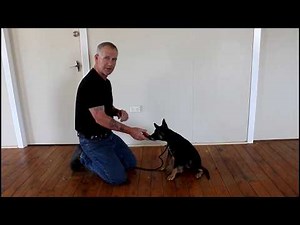 Touch Desensitisation: Nail Clipping